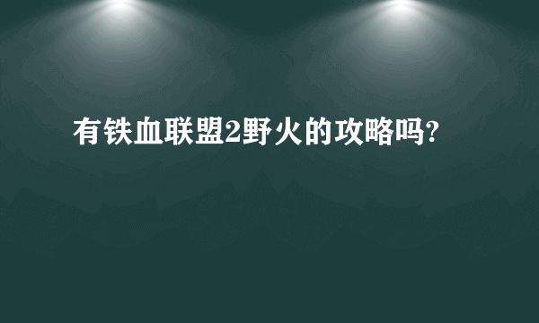 有铁血联盟2野火的攻略吗?