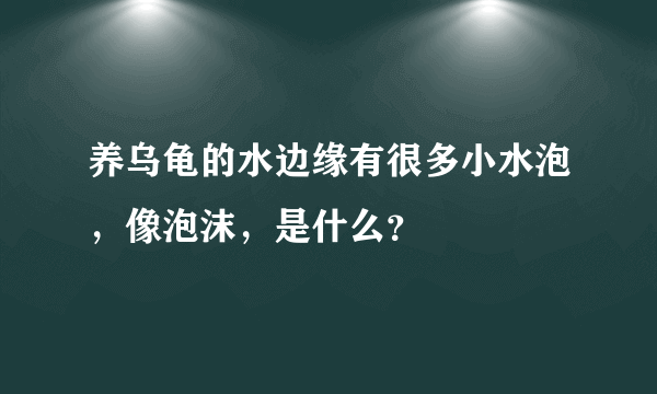 养乌龟的水边缘有很多小水泡，像泡沫，是什么？