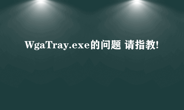 WgaTray.exe的问题 请指教!