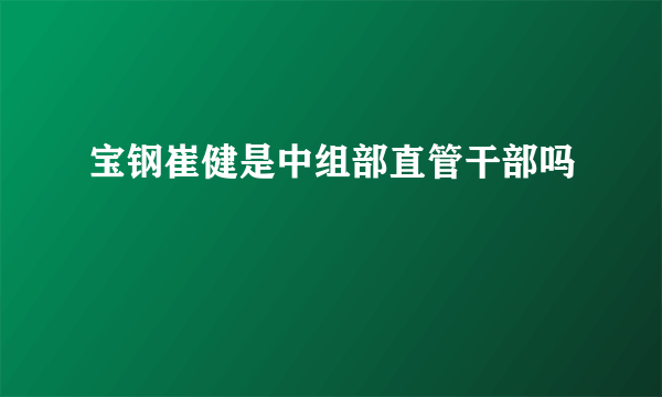 宝钢崔健是中组部直管干部吗