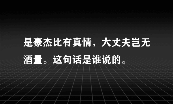 是豪杰比有真情，大丈夫岂无酒量。这句话是谁说的。