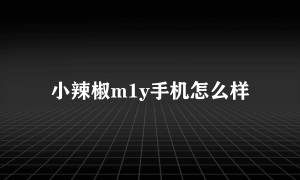 小辣椒m1y手机怎么样