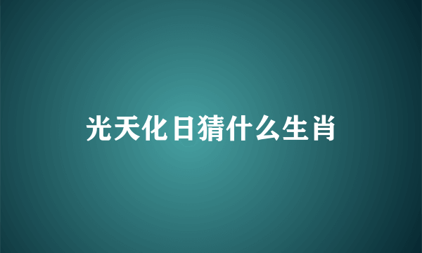 光天化日猜什么生肖