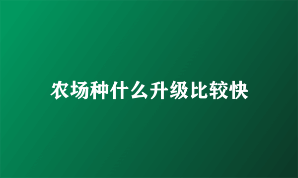 农场种什么升级比较快