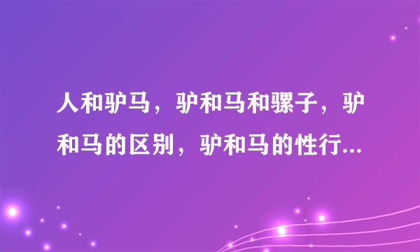 人和驴马，驴和马和骡子，驴和马的区别，驴和马的性行，动物驴