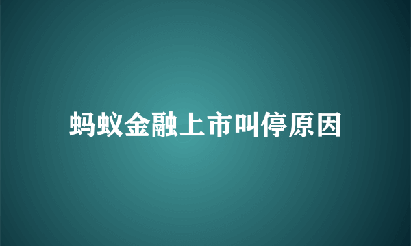 蚂蚁金融上市叫停原因