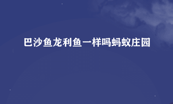 巴沙鱼龙利鱼一样吗蚂蚁庄园