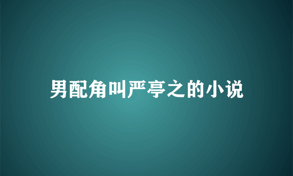 男配角叫严亭之的小说