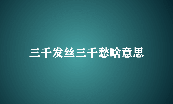 三千发丝三千愁啥意思