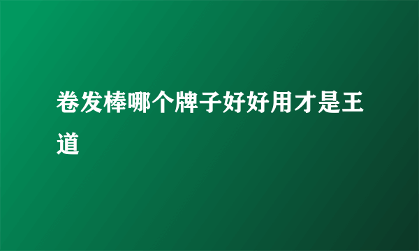 卷发棒哪个牌子好好用才是王道