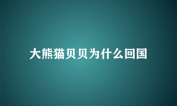 大熊猫贝贝为什么回国