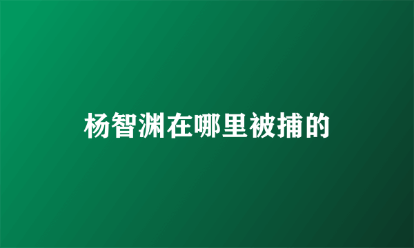 杨智渊在哪里被捕的