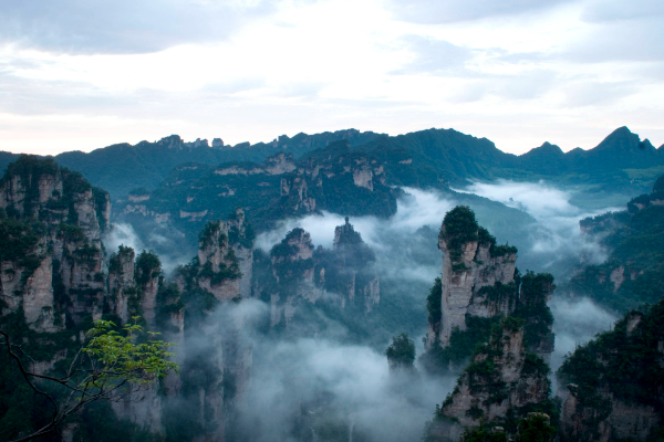 张家界口碑最好的旅行社