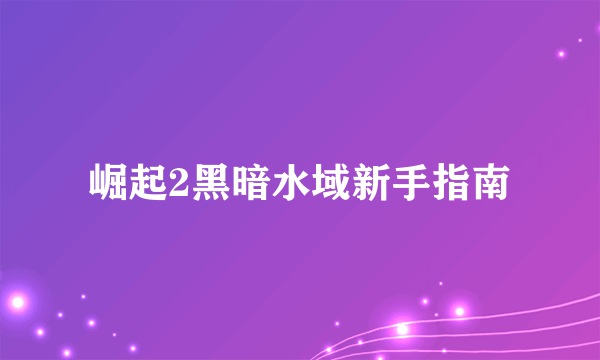 崛起2黑暗水域新手指南