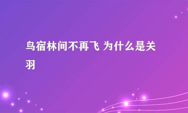 鸟宿林间不再飞 为什么是关羽