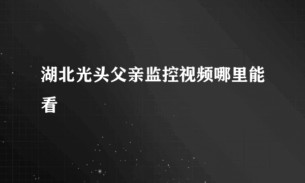 湖北光头父亲监控视频哪里能看