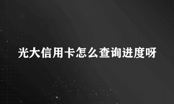 光大信用卡怎么查询进度呀