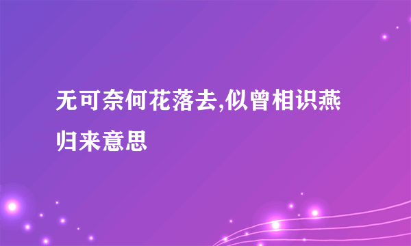 无可奈何花落去,似曾相识燕归来意思