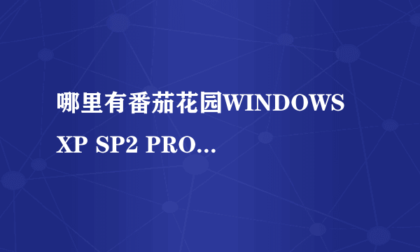 哪里有番茄花园WINDOWS XP SP2 PRO免激活Bulid03.28的下载