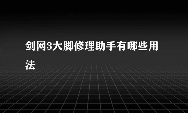 剑网3大脚修理助手有哪些用法