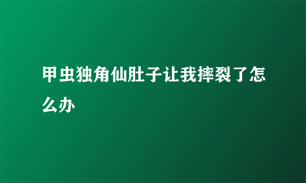 甲虫独角仙肚子让我摔裂了怎么办