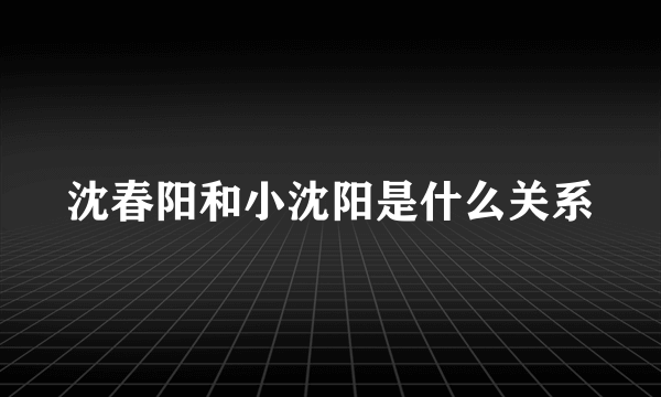 沈春阳和小沈阳是什么关系