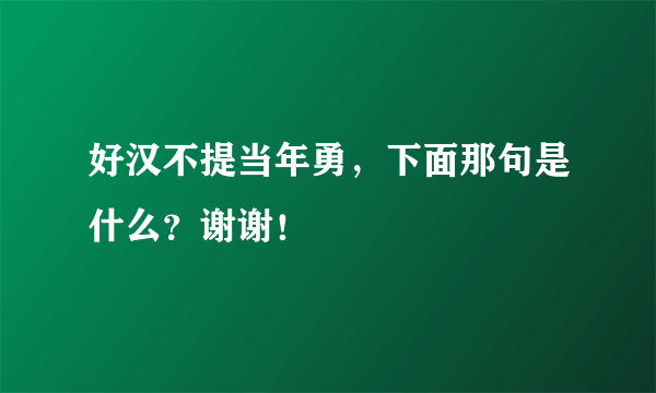 好汉不提当年勇，下面那句是什么？谢谢！