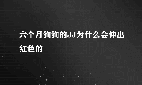 六个月狗狗的JJ为什么会伸出红色的