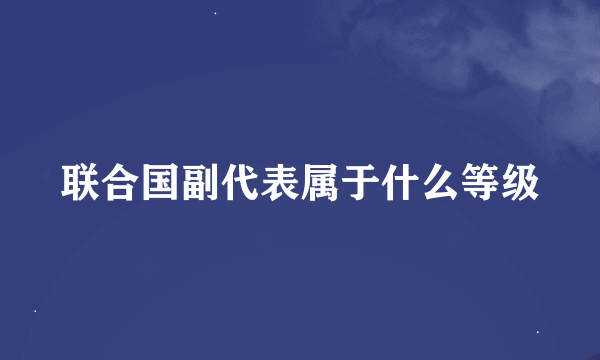 联合国副代表属于什么等级