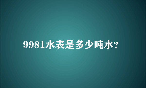 9981水表是多少吨水？