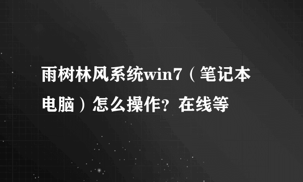 雨树林风系统win7（笔记本电脑）怎么操作？在线等