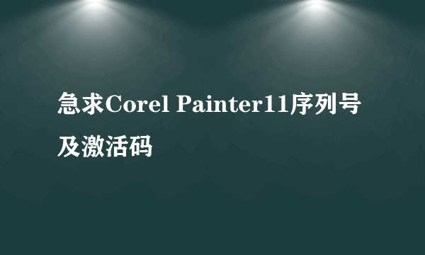 急求Corel Painter11序列号及激活码