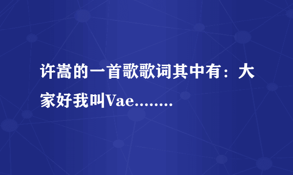 许嵩的一首歌歌词其中有：大家好我叫Vae......歌名是什么呢？