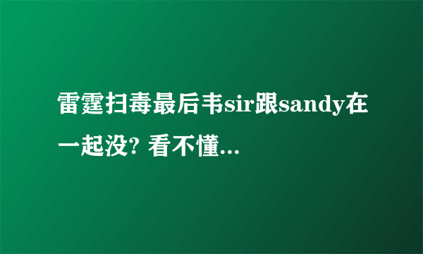 雷霆扫毒最后韦sir跟sandy在一起没? 看不懂结局啊? 很希望他们在一起啊. 但是又找不到什么根据...