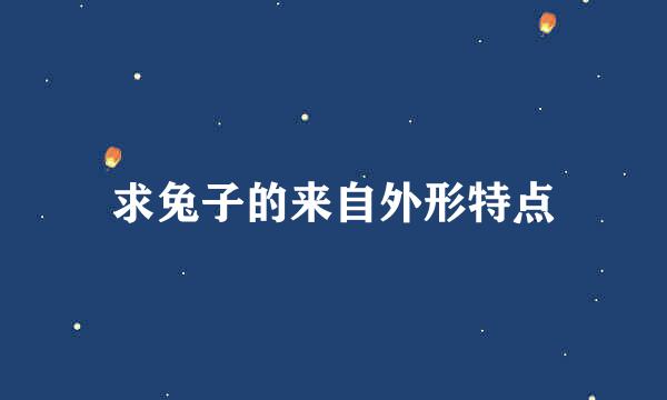 求兔子的来自外形特点