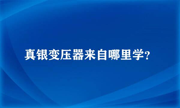 真银变压器来自哪里学？