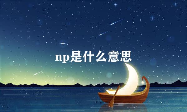 np是什么意思