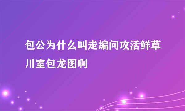 包公为什么叫走编问攻活鲜草川室包龙图啊