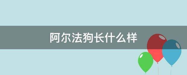 阿尔法狗长什么样