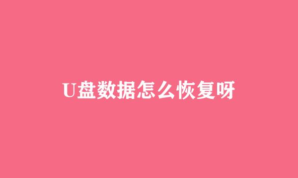 U盘数据怎么恢复呀