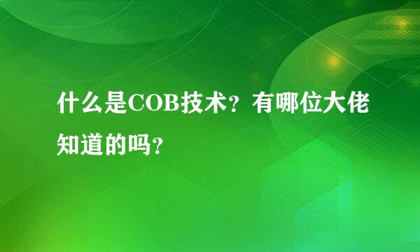 什么是COB技术？有哪位大佬知道的吗？