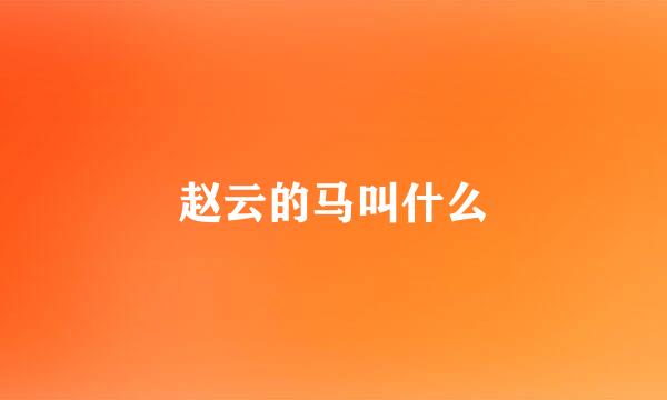 赵云的马叫什么