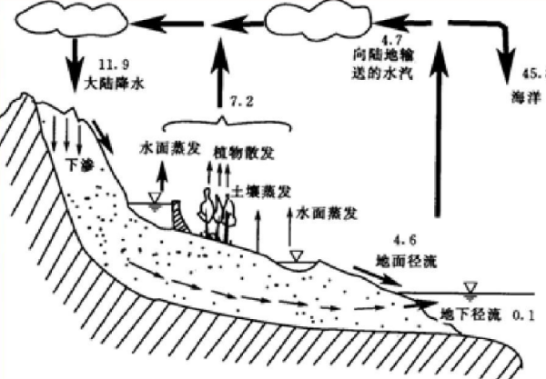 vic来自什么意思?