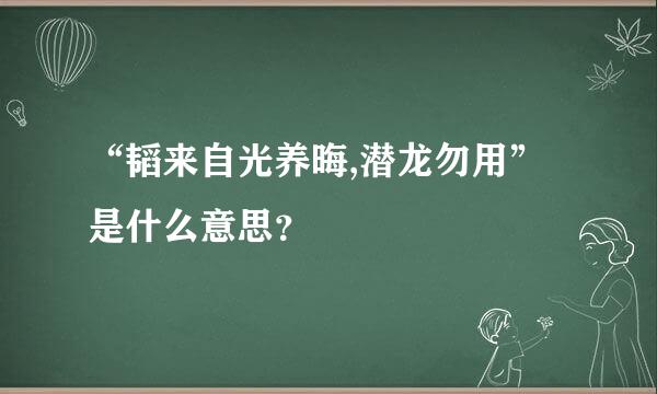 “韬来自光养晦,潜龙勿用”是什么意思？