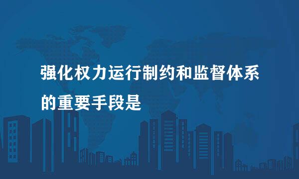 强化权力运行制约和监督体系的重要手段是