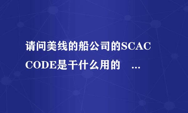 请问美线的船公司的SCAC CODE是干什么用的 一般ISF 申报是不是都是用的货代的SCAC CODE呀？