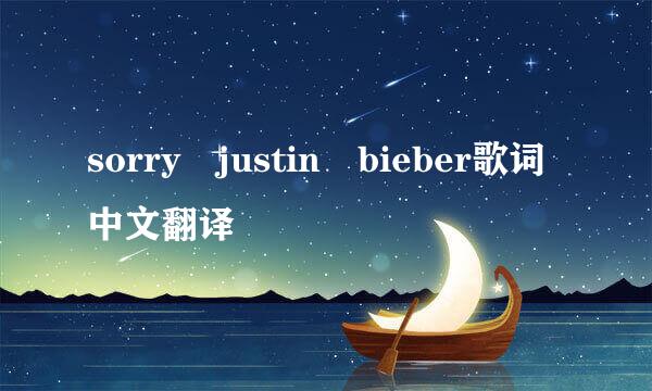 sorry justin bieber歌词中文翻译