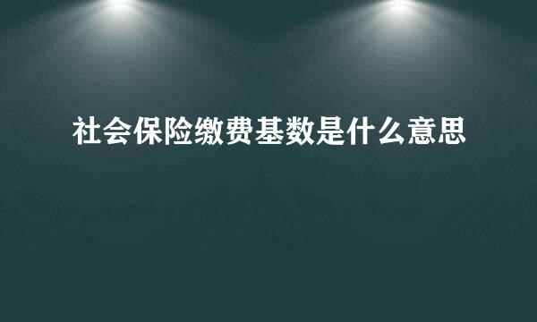 社会保险缴费基数是什么意思