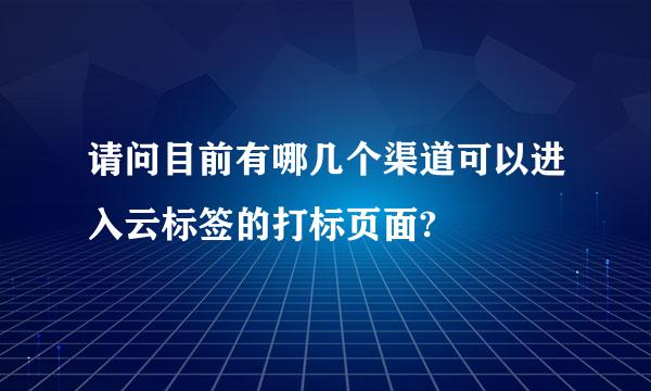 请问目前有哪几个渠道可以进入云标签的打标页面? 