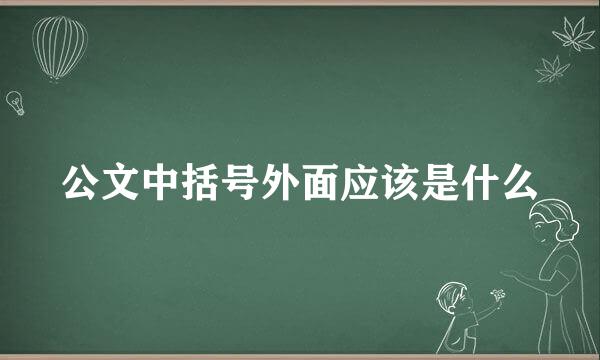 公文中括号外面应该是什么